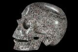 Polished Skull of Crinoidal Limestone #116419-3